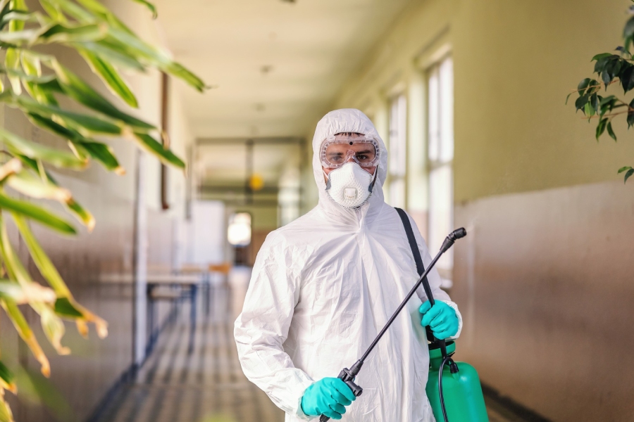 Exterminateur à Billom